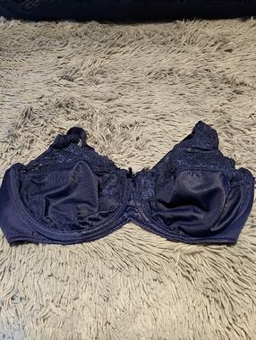 Lilyette NWOT bra 38D